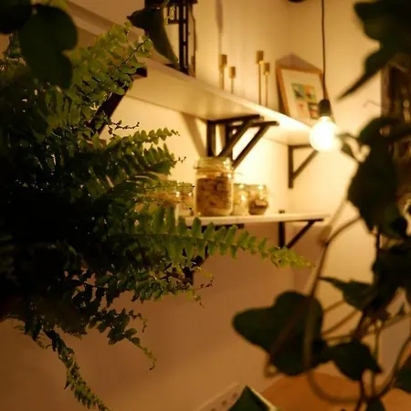 Apartment Singer Old Town *